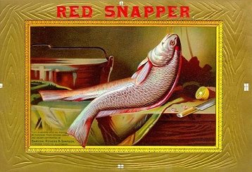 Red Snapper cigar box label