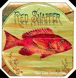 Red Snapper- cigar box label