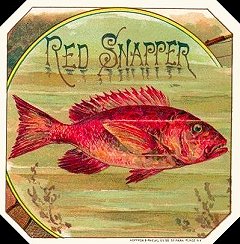 Red Snapper cigar box label