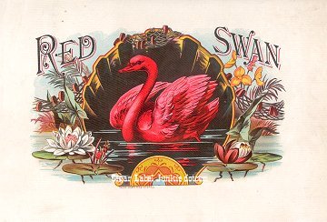 Red Swan- cigar box label