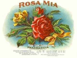 Rosa Mia cigar box label