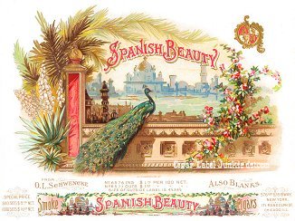 Spanish Beauty- cigar box label