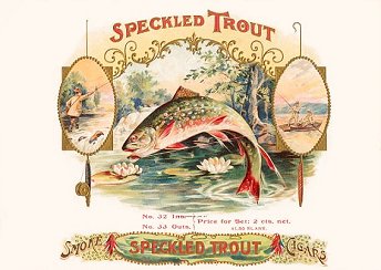 Speckled Trout cigar box label