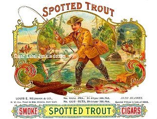 Spotted Trout-cigar box label