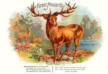 Forest Monarch- cigar box label