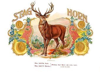 Stag Horn- cigar box label