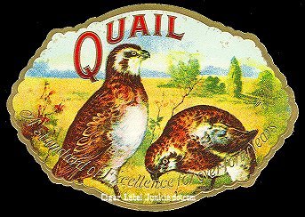 Quail- cigar box label
