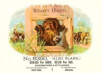 Short Horn- cigar box label