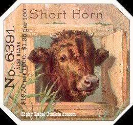Short Horn- cigar box label