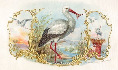 UT Stork- cigar box label