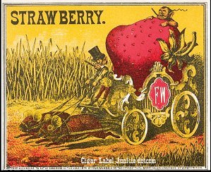 Strawberry- cigar box label