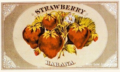 Strawberry cigar box label