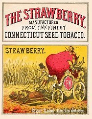 Strawberry- cigar box label