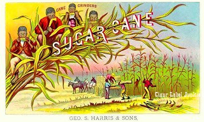 Sugar Cane cigar box label