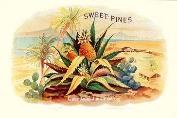 Sweet Pines cigar box label