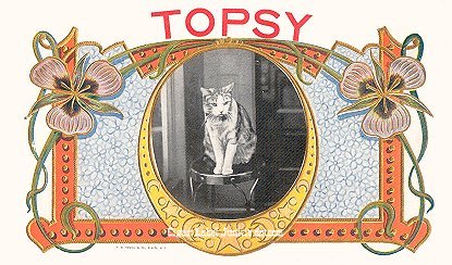 Topsy- cigar box label