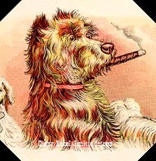UT Smoking Dog- cigar box label