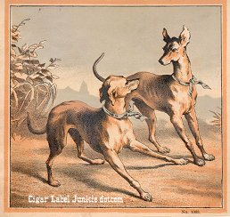 UT Dogs- cigar label
