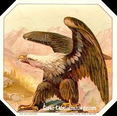 UT Eagle 3 cigar label