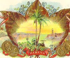 UT Habana cigar box label