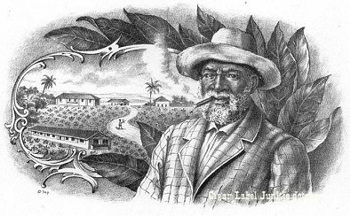 UT Man cigar box label
