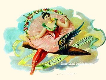 Well Shaped- cigar box label