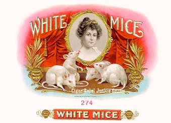 White Mice- cigar box label