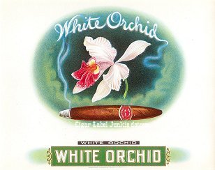 White Orchid cigar box label