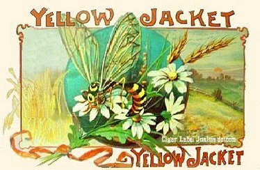 Yellow Jacket- cigar box label